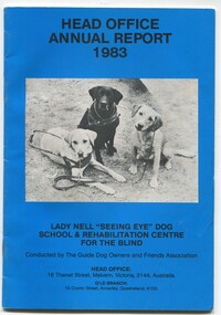 Three Labradors sit on ground and stare at camera