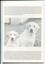 Overview of the history of Lady Nell and image of two Labradors
