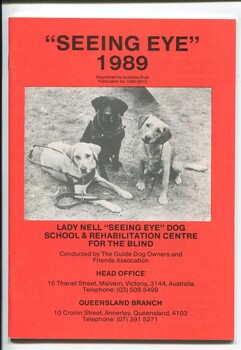 Three sitting Labradors looking at camera