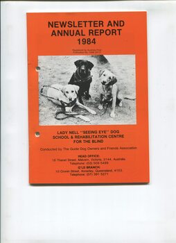 Three seated Labradors looking at the camera