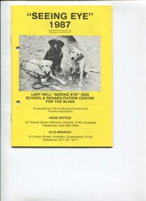 Three seated Labradors looking at the camera