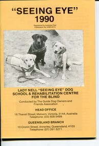 Three seated Labradors looking at the camera