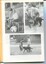 Annual President’s Report from Mrs Phyllis Gration