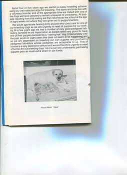 Annual President’s Report from Mrs Phyllis Gration