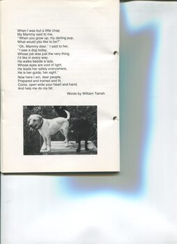 The Seeing Eye poem by William Tainsh