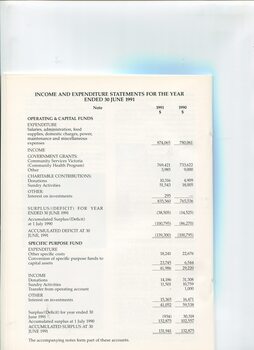 Income and Expenditure statements for the financial year