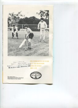 Boys playing cricket on the oval
