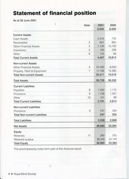 Statement of Financial Position for the year