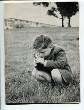 Schoolboy picking dandelions in the ground at Burwood