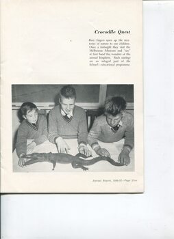 Three schoolboys feel a stuffed baby crocodile at the Melbourne Museum