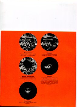Five circles of same image to demonstrate different types of vision: normal, cataract, macular degeneration, glaucoma and tunnel