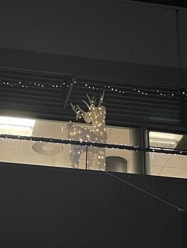 Christmas decorations at 454 Glenferrie Road