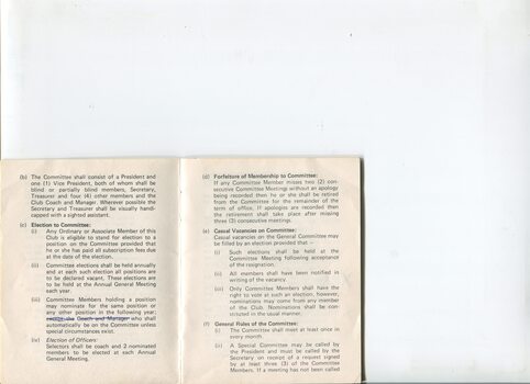 Victorian Blind Lawn Bowls Club constitution and by-laws