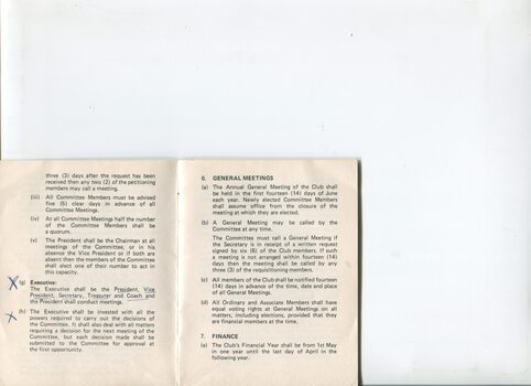 Victorian Blind Lawn Bowls Club constitution and by-laws