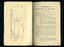 Balance sheet for annual picnic and Constitution for the Association
