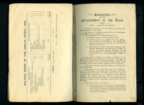 Balance sheet for annual picnic and Constitution for the Association
