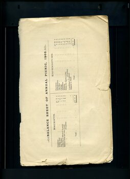 Balance sheet for the annual picnic