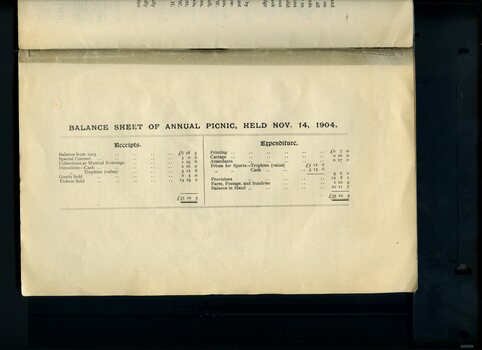 Balance sheet for Annual Picnic