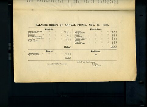 Balance sheet for the Annual Picnic
