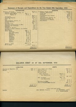 Statement of Receipts and Expenditure, Assets and Liabilities and Balance sheet