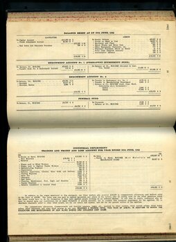 Balance sheets and Profit and Loss Account for Industrial department