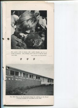 Photos of a boy cuddling a koala and the 3KZ Wing at Burwood