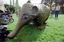 Giant fiberglass echidna on lawn at zoo