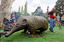 Welcome to Country ceremony with smoldering bark and Feelix echidna statue