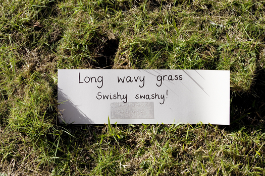 Sign reading Long wavy grass Swishy swashy! in print and Braille