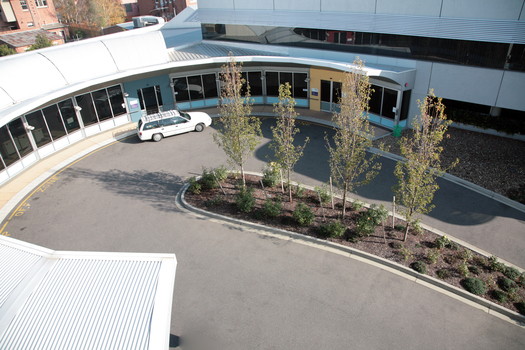 View of circular driveway from top of building