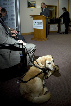 John Cain stepping up to address the audience and Kevin Murfitt's dog