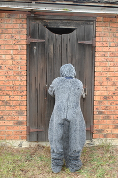 The Big Bad Wolf (aka Ed Gamble) tries to get into the house of bricks