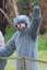 The Big Bad Wolf waves goodbye to his helpers