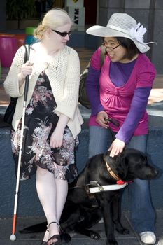 White cane users chatting at Southbank shopping precinct on a sunny day