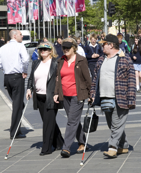 White cane users walking along the St Kilda Road footpath on a sunny day