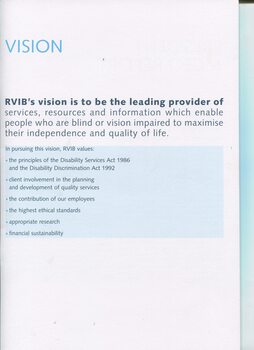 Overview of RVIB’s Vision for the organisation