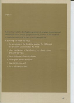 Overview of RVIB’s Vision for the organisation