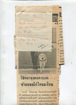 Newspaper cutting about blindness related activities or people