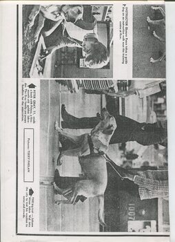 Newspaper cutting about blindness related activities or people