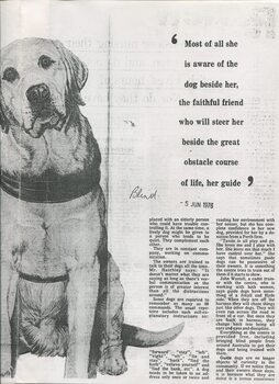 Newspaper cutting about blindness related activities or people
