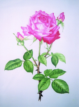 Artwork used in the 2002 calendar