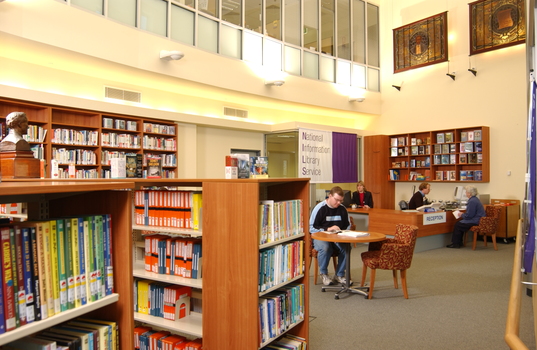 People in the Browsing Library