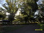 View from main driveway looking towards St Kilda Road