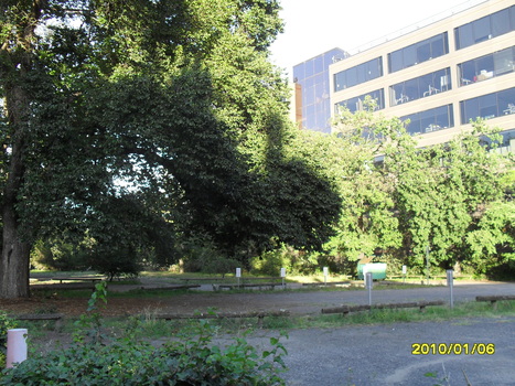 View from main driveway looking towards St Kilda Road neighbouring block