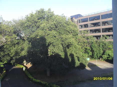 Looking down towards St Kilda Road neighbour from upper floor of building