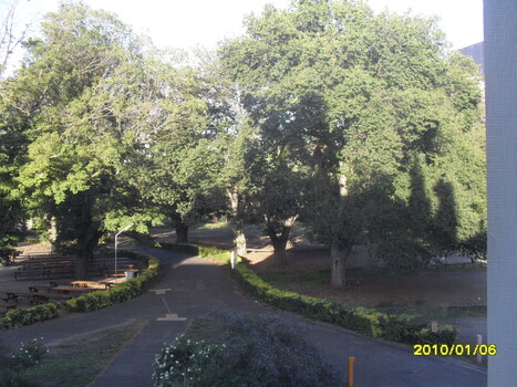 Looking down towards main driveway from upper floor of building