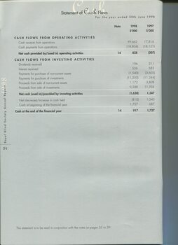Statement of cash flows as at the end of the financial year