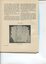 Royal Sydney Industrial Blind Institution Women's Auxiliary report