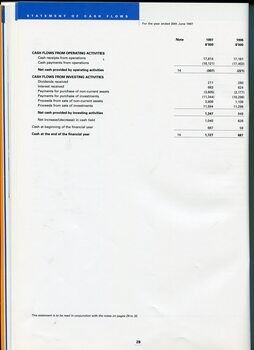 Statement of Cash Flows for the financial year