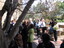 Staff at branch launch party for Vision Australia